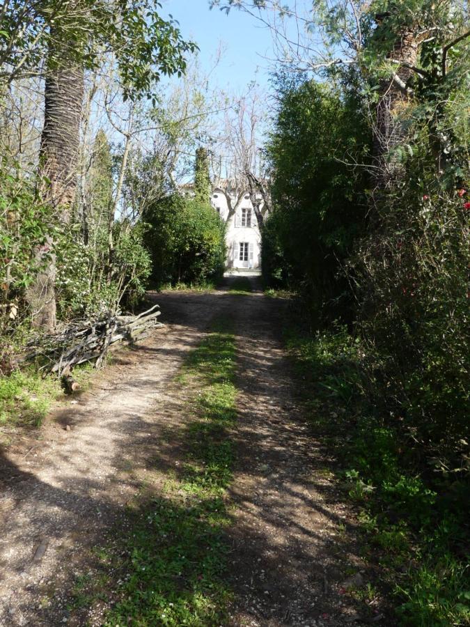 Le Charme D'Une Vieille Bastide Provencale Solliès-Pont Exterior foto